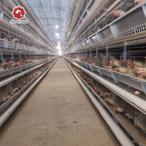 Breeding Battery Chicken Cage 126 Birds / Set Full Automatic Equipment