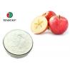 Organic Spray Freeze Dried Powder Apple Juice Concentrate Powder Apple Flavor