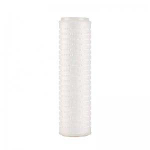 Replaceable 0.22 Micron Absolute Membrane Sterilized Pleated Filter Cartridge 10 Inch