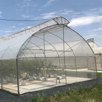 China Thailand Multi Span Automatic Vent Greenhouse Electric Tropical Climate Controlled on sale
