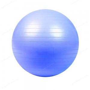 Balance Trainer 25cm 9.8 inch Yoga Ball Exercise Equipment Anti Burst