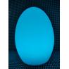 Egg Shaped Magic Color LED Mood Lamp Night Light With Remote Control 16 Dimmable