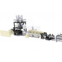 China Full Automatic XPS Foam Board Production Line For Supercritical CO2 Foam on sale
