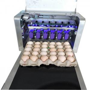 China Digital Egg Marking Equipment / Egg Date Stamp Machine For Duck or Pineal Eggs supplier