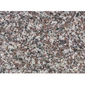 China Granites Natural Stone Slabs Polished Finish 240up X1200up X 2cm Big Slabs supplier