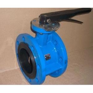 China DN250 10 Inch Butterfly Check Valve Fusion Bonded Epoxy ASTM For Water,125LB,WATER supplier