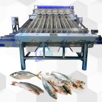 China High Speed Live Fish Roller Grader With 12pcs Live Fish Roller Sorting Line on sale