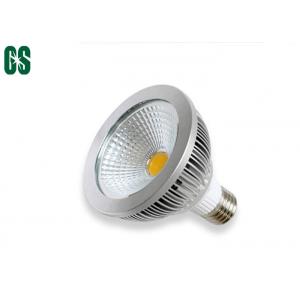 China COB Light Source 10W LED Par Lamp Aluminum Par30 LED Spotlight supplier