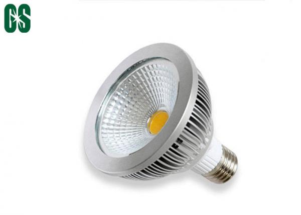 穂軸の光源 10W LED の標準ランプ アルミニウム Par30 LED スポットライト