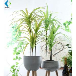 China Dracaena Cinnabari Artificial Potted Plants , Green Dragon Tree Bonsai supplier