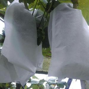 China Anti UV Fruit Tree Protection Bags , Spunbond Nonwoven Bags To Cover Fruit On Trees supplier