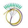 Multicore Sc FC LC St Patch Cord / Fiber Optic Pigtail For Telecom / Network