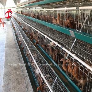 Electric Galvanized Layer Poultry Farm Cage Anti Rust Layer Battery Cages Emily