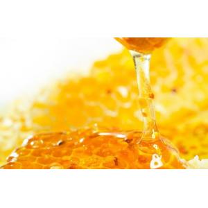 High Output Honey Production Line / Honey Processing Equipment Adjustable Capacity