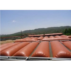 China Low Pressure Biogas Digester Tank Featuring Anaerobic Digestion Function Ideal for Waste Treatment and Renewable Energy Generation Applications wholesale