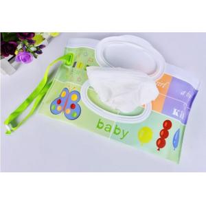 China Reusable eva travel wet tissue bag baby /wet tissue container, Reusable Baby Wet Wipe Case Pouch Dispenser,Baby Wet Wipe supplier