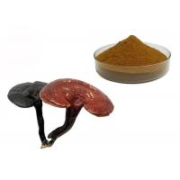 China 50% Purity Ganoderma Lucidum Reishi Mushroom Extract Powder on sale