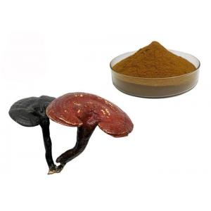 China 50% Purity Ganoderma Lucidum Reishi Mushroom Extract Powder supplier