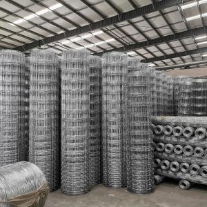 China Fixed Knot Steel Sheep Netting Wire Fencing Agriculture Wire Fencing 1.8-2.8m supplier