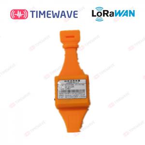 China Lora Cable Temperature Measuring Device LoRaWAN Communication With Watch Strap supplier