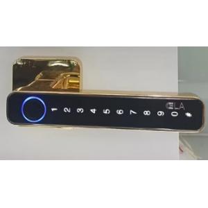 High Security Residential Door Locks Electronic Entry Door Locks