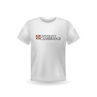 China Breathable Fabric University and Promotion T-Shirt with Custom Logo and Short Sleeve on sale