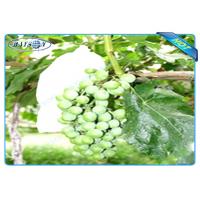 China OEM Disposable Nonwoven Fruit Protection Bag For Grape Size 20 cm 22cm on sale