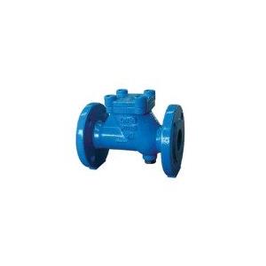 China Cast Iron / Carbon Steel Ball Type Class 150 / 300 / 600 API 6D Check Valves  supplier