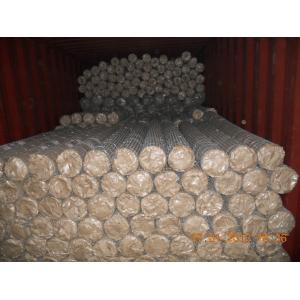 16 gauge galvanized hexagonal wire mesh/double twist chick wire mesh(ISO factory & exporter)