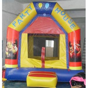 China Commercial Use Party Theme Kids Inflatable Bouncy Castle Inflatable Castle supplier
