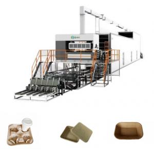 China Automatic Disposable Paper Cup Plate Making Machine Tray Making Equipment supplier