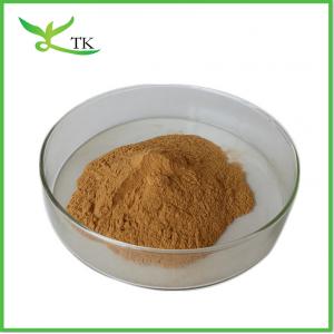 Ginseng Extract Powder Eleutherosides B+E 0.8% Siberian Ginseng Powder