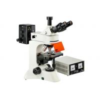 China Camera Infinity Epi Led Fluorescent Microscope WF10X Eyepiece Genetics Research on sale