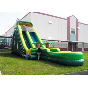 Durable Plato PVC Tarpaulin Inflatable Water Slides , Inflatable Garden Water Slide
