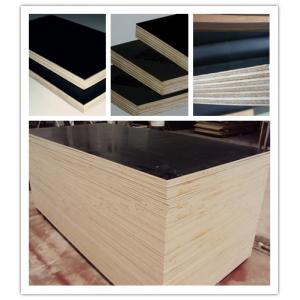 China Hot Sale Plywood For Construction Materials Prices , China Hot Film Faced Plywoood Factory supplier