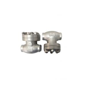 Weld Connection Cryogenic Check Valve Stainless Steel SS304 DN10mm - DN25mm