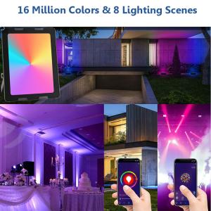China Waterproof Outdoor RGB LED Floodlight Smart IP66 LED Flood Light 100W wholesale