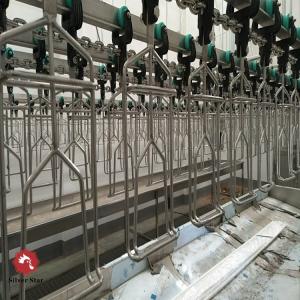 China Halal Poultry Automatic Chicken Slaughtering Machine 300BPH To 10000BPH supplier