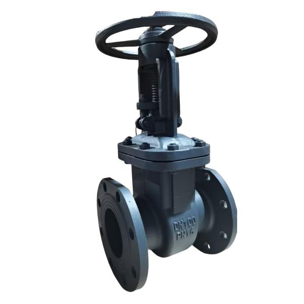 Grooved End Connections Cast Iron Gate Valve 1/2 Inch to 24 Inch Precision Valve Designed for Long Term Pipeline Service