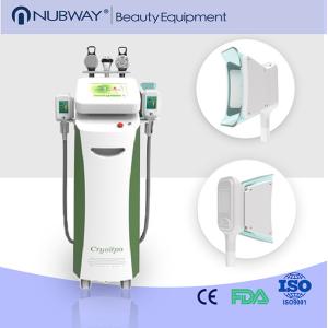 China jejua a máquina dando forma fresca aprovada CE de congelação do cryolipolysis da máquina do cryolipolysis supplier