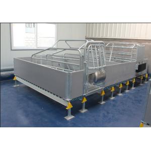 Factory Direct Supply Good Quality Sow Farrowing Crate for Sale Pig Farrowing Pen