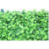 Vertical Artificial Grass Mat , Imitation Grass for wall decoration