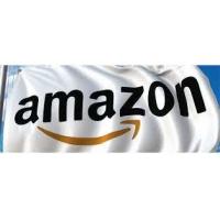 China China Guangzhou To The USA Amazon FBA Shipping International Company on sale