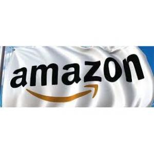 China Guangzhou To The USA Amazon FBA Shipping International Company