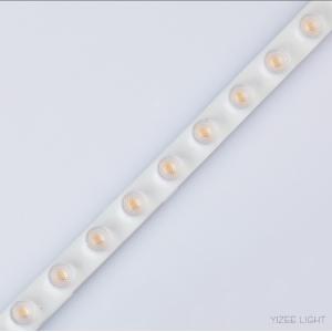 China RGB LED Wall Washer Lens Strip Dimmable Outdoor Led Lights With Lens supplier