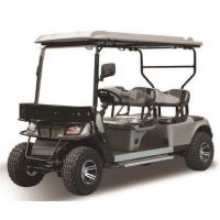 China Electric Leisure 4x4 Golf Cart Buggy 5KW With Lead Acid Battery on sale