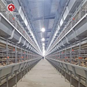 China H Frame 4 Tiers Meat Chicken Broiler Cage 136 birds supplier