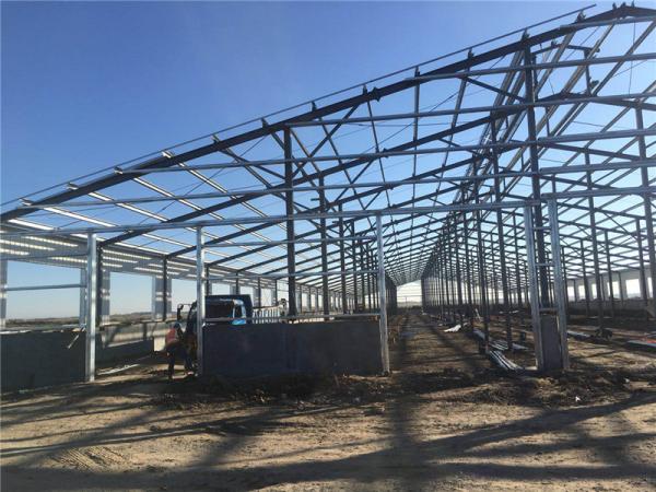 Q355Bの鉄骨構造の建物はミルクの製造プラントを組立て式に作った