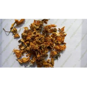 Chinese Globeflower Flower Trollius chinensis Bunge herb tea good for throat Jin lian hua