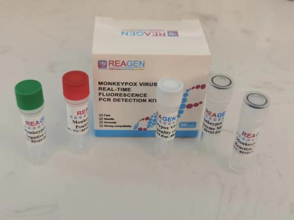 CE Real Time Fluorescence PCR Detection Kit High Accuracy For Monkeypox Virus